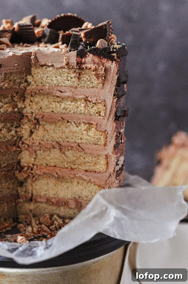 Dairy-Free Peanut Butter Chocolate Cake with Gluten-Free Option 4 Inside shot of a peanut butter cake with six layers and chocolate frosting between each layer