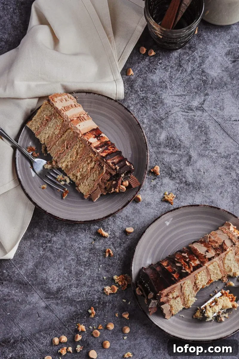 Dairy-Free Peanut Butter Chocolate Cake with Gluten-Free Option 5 Chocolate cake with smoked chocolate buttercream