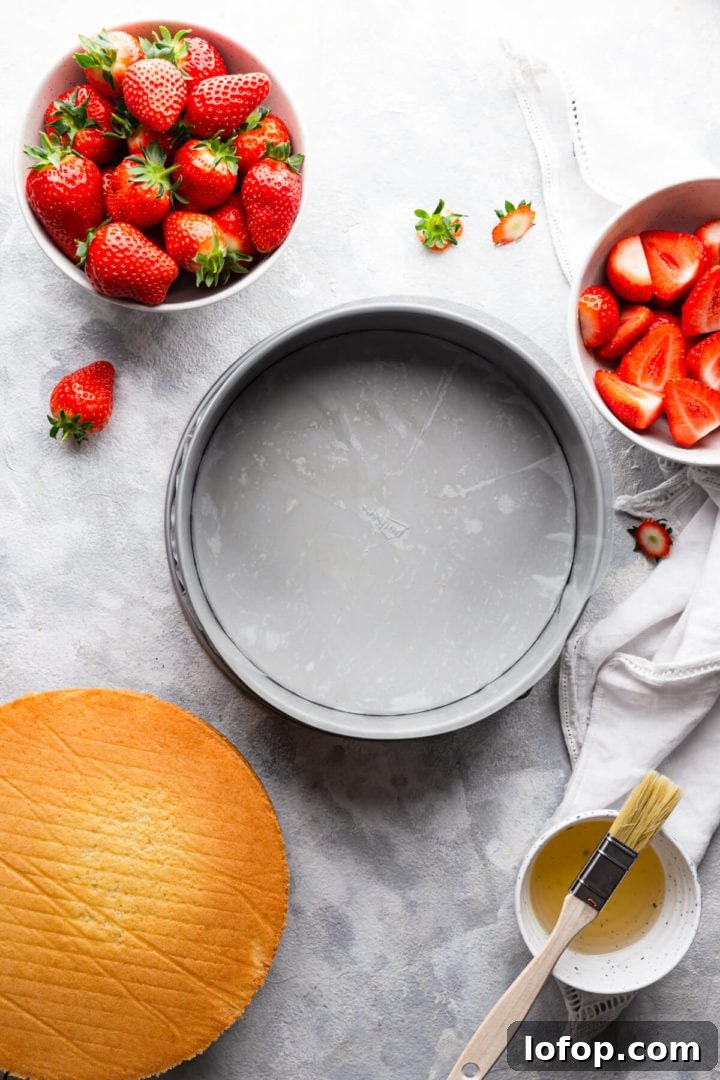 Classic French Fraisier Strawberry Cake Recipe 11 top view of round baking tin lined with baking paper and acetate strip