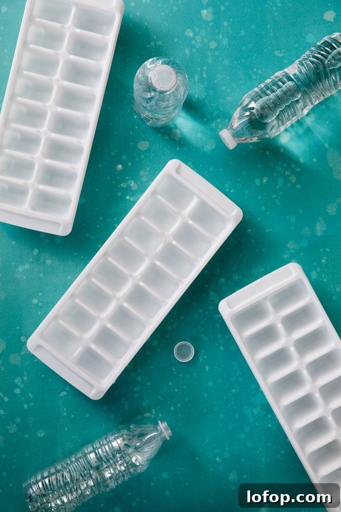 Overhead view of ice cube trays and water bottles