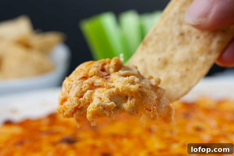 Creamy Buffalo Chicken Dip Recipe for Game Day and Parties 3 A tortilla strip digging into some buffalo chicken dip.