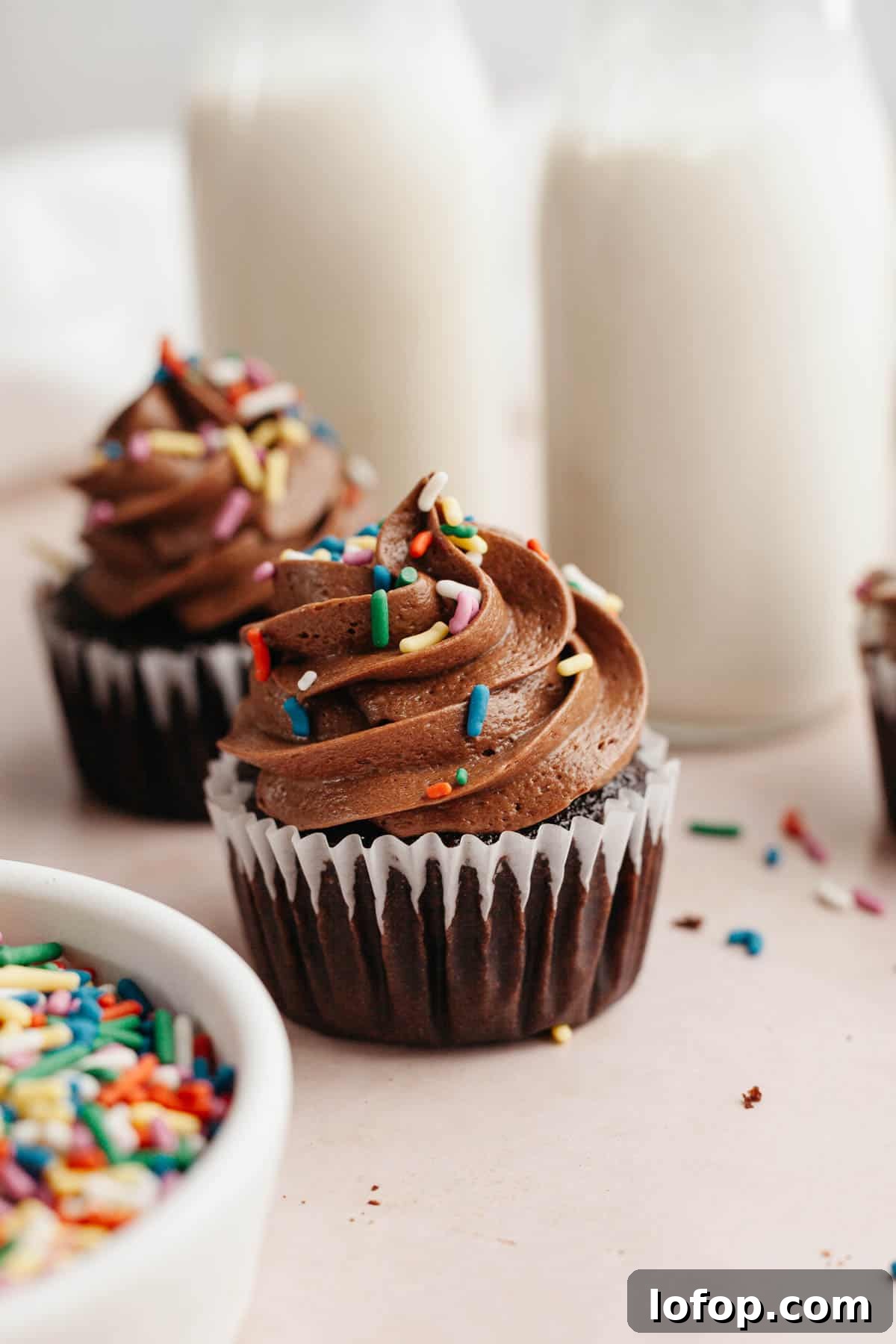 Decadent Chocolate Cupcakes with Cream Cheese Frosting 2 Two chocolate cupcakes with chocolate frosting and rainbow sprinkles.