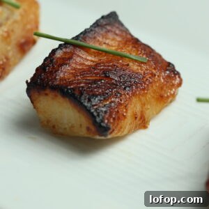 Miso-Marinated Black Cod Recipe for Tender, Flaky Fish 8 Miso Black Cod fish