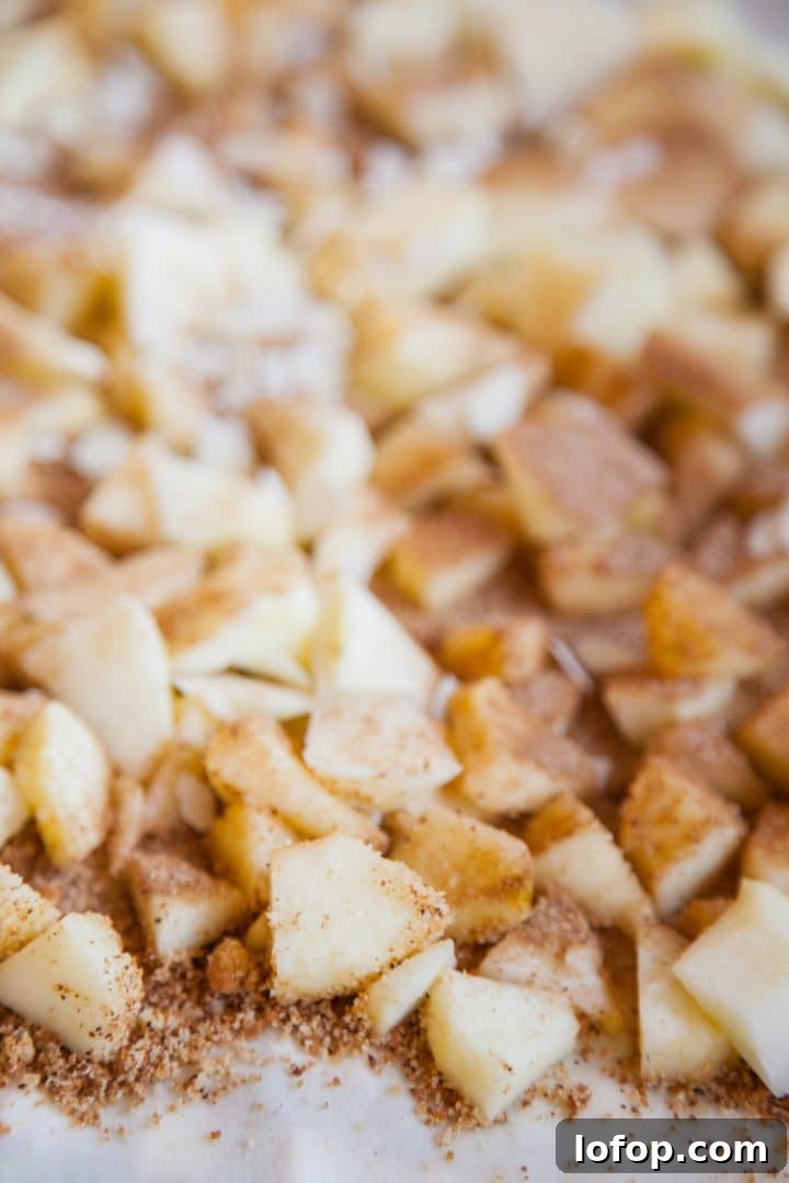 Homemade German Apple Strudel Recipe — Classic Apfelstrudel 2 Homemade apple strudel Basic recipe