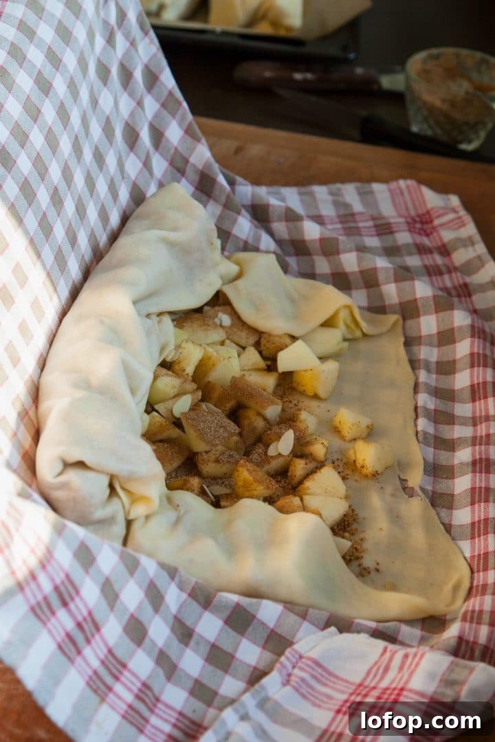 Homemade German Apple Strudel Recipe — Classic Apfelstrudel 7 img 1700 6