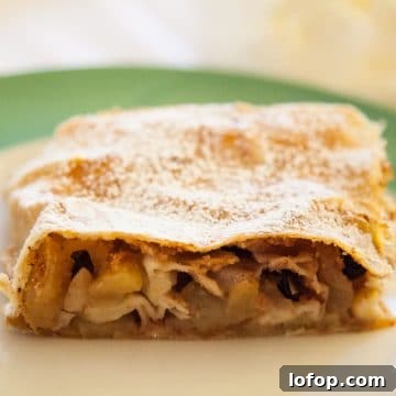 Homemade German Apple Strudel Recipe — Classic Apfelstrudel 10 img 1700 9