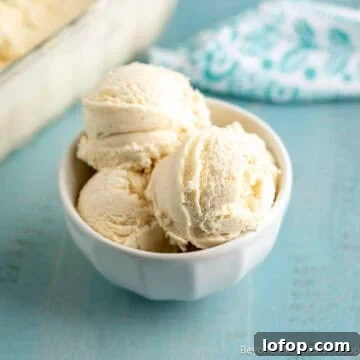 A bowl filled with scoops of homemade vanilla ice cream.
