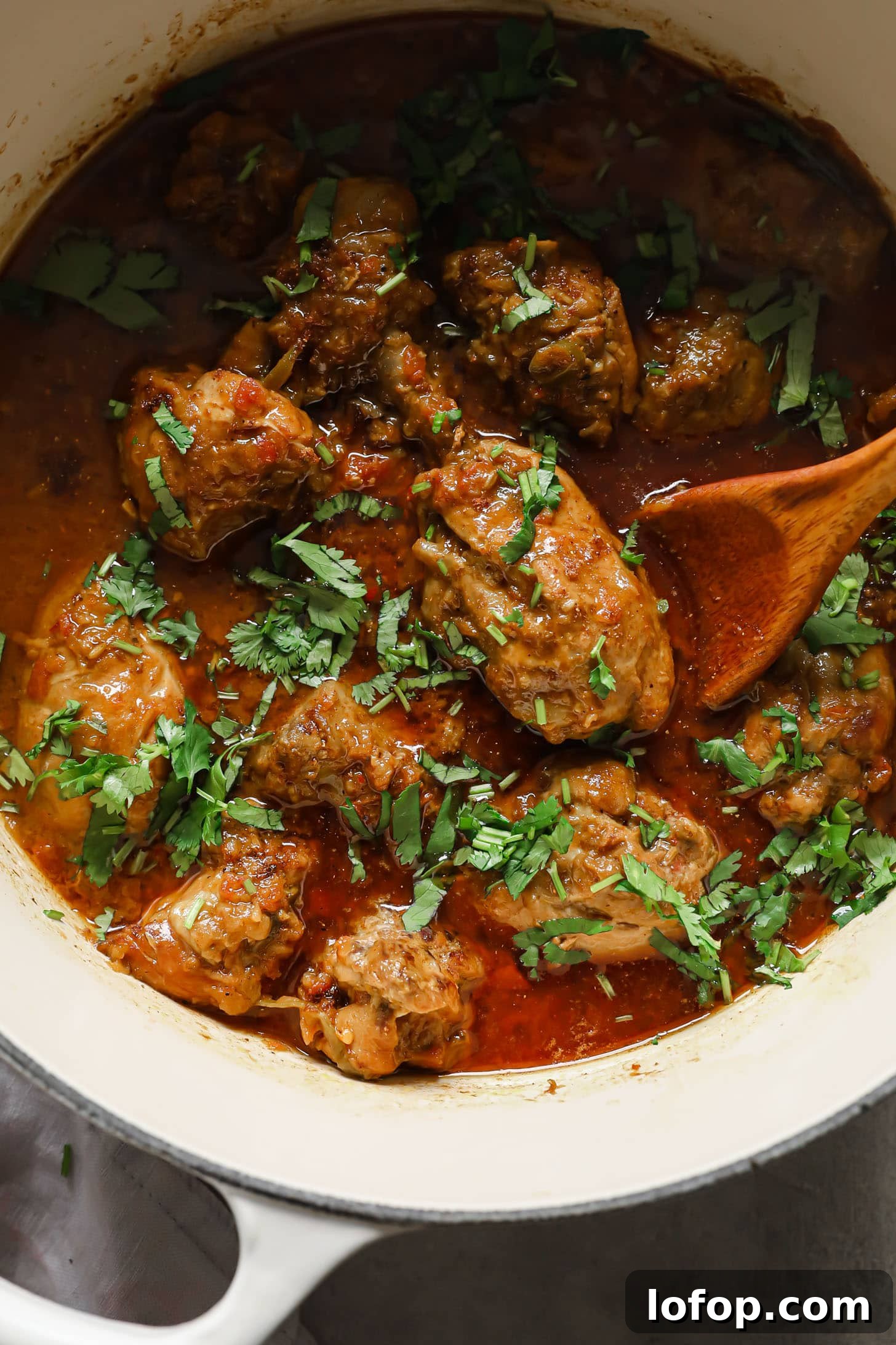 A close up of the finished chicken curry garnished with cilantro