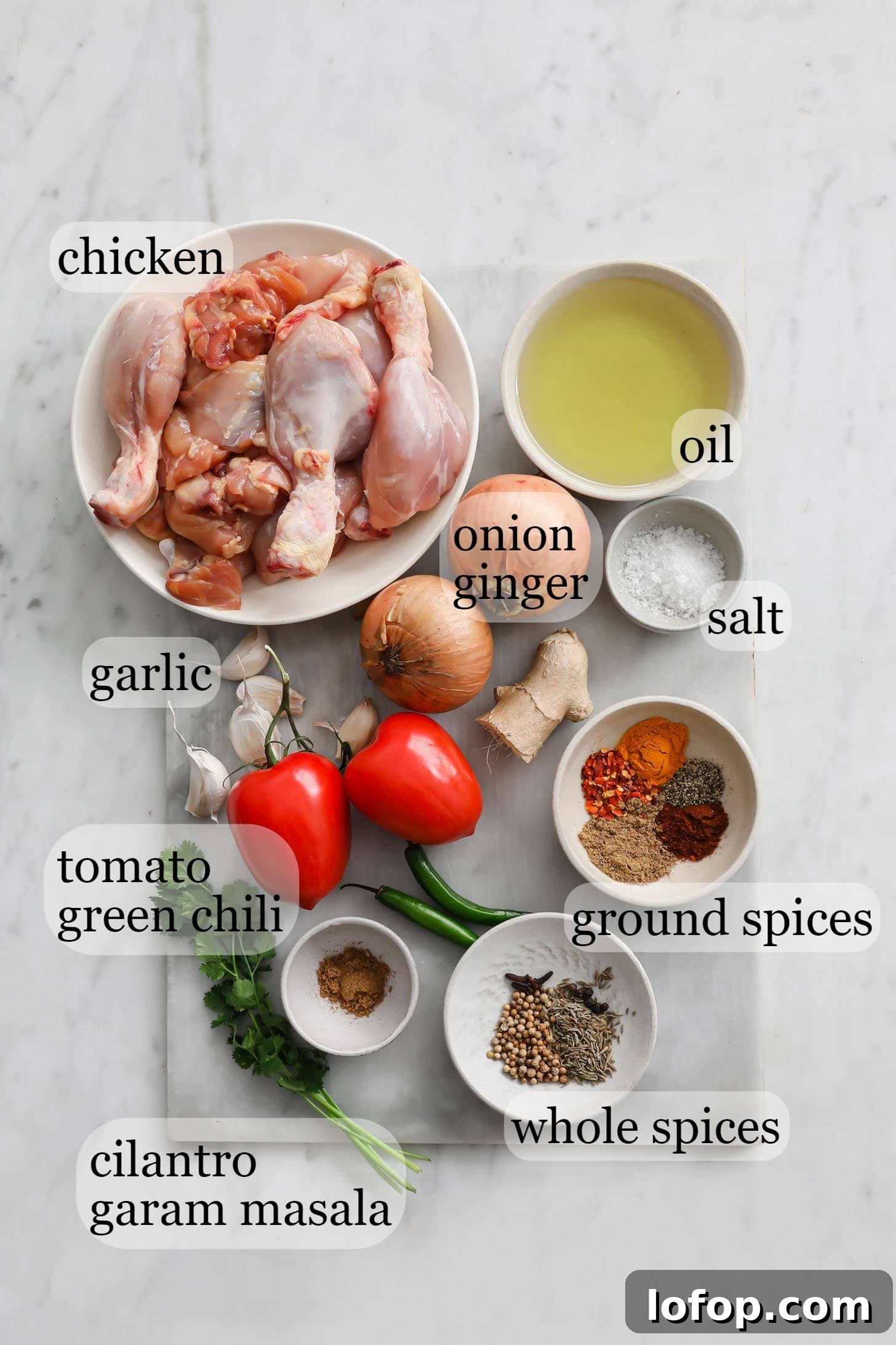 Ingredients for the curry such as chicken, onions, salt, ginger, garlic, tomatoes, green chili peppers, and spices on a marbled surface