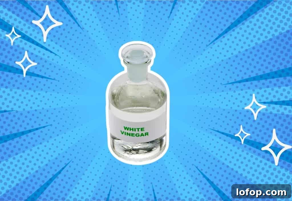 Exploring 5 Best Substitutes for White Vinegar in Cooking