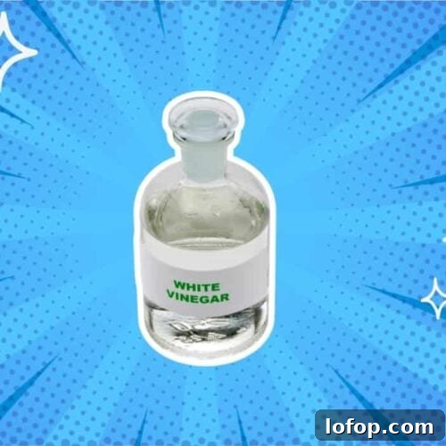 substitutes-for-white-vinegar