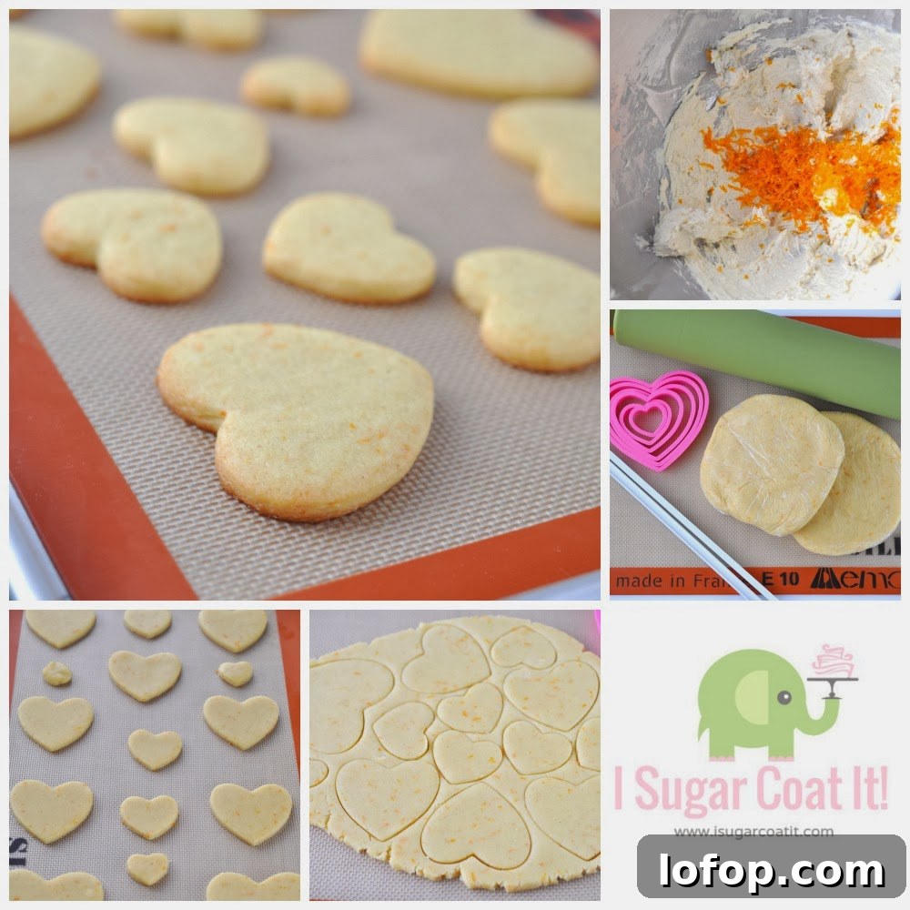Stamped Orange Cardamom Cookie Postcards with Sugar Lace