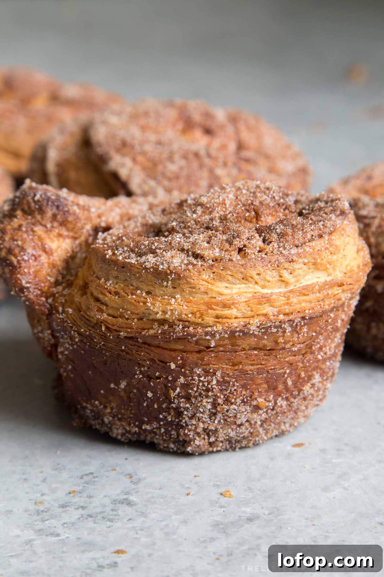 Cinnamon Sugar Morning Buns