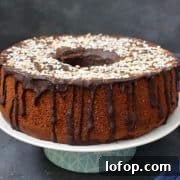 Chocolate Chiffon Cake