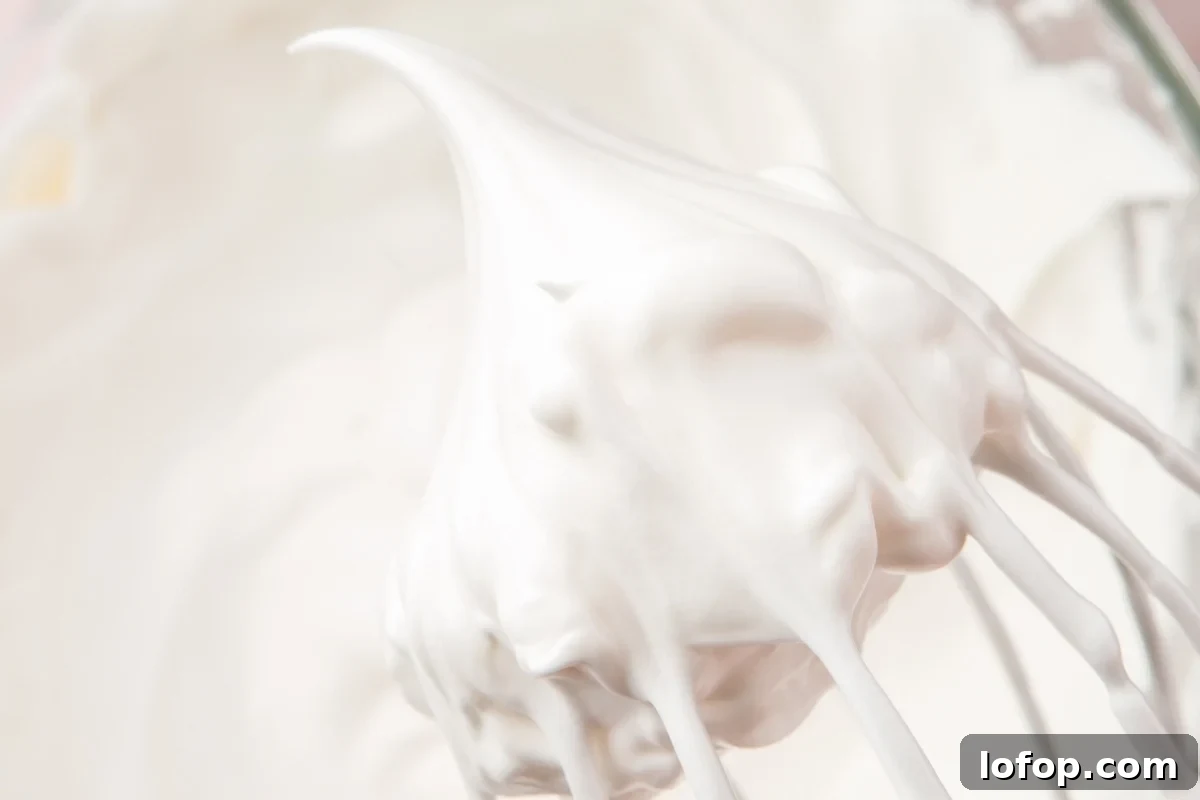Whisk showing stiff, glossy peaks.