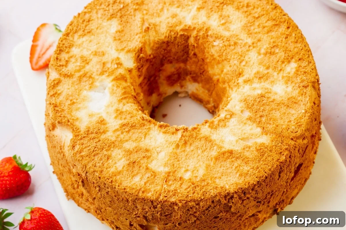 A golden brown angel food cake with strawberries nearby.