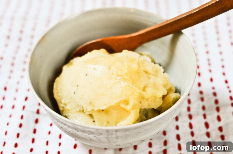 Instant Banana Sorbet Recipe
