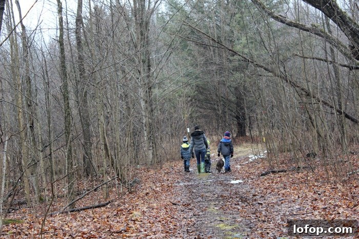 hiking in forest_edited-1