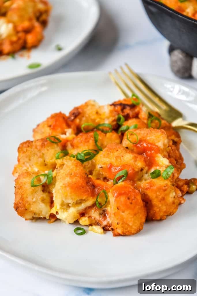 a plate with a serving of turkey sloppy joe tater tot casserole.