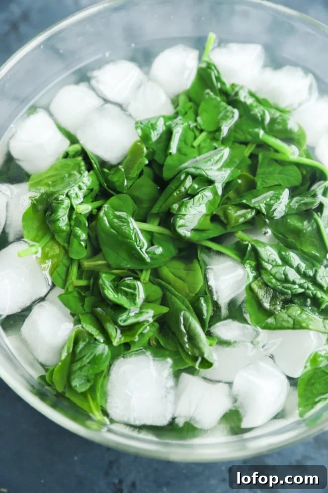 Spinach blanched in an ice water bath picture