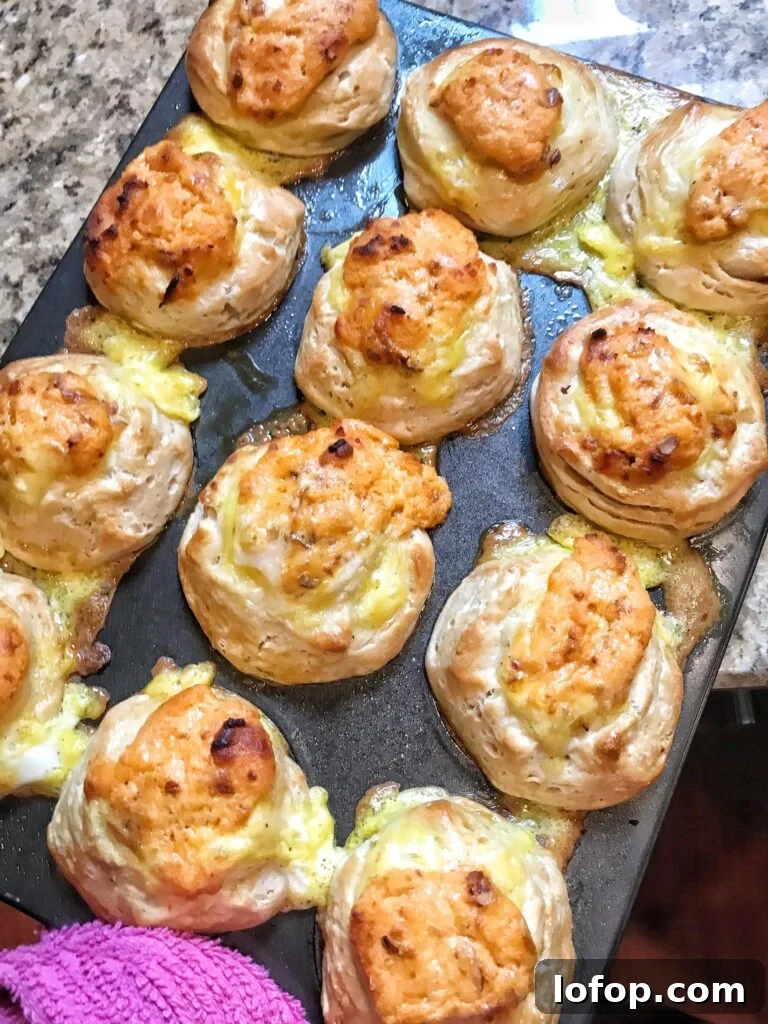 Cheesy Scrambled Egg Breakfast Biscuits Recipe 8 The finished Cheesy Egg Breakfast Biscuits