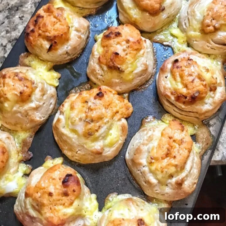 Cheesy Egg Breakfast Biscuits