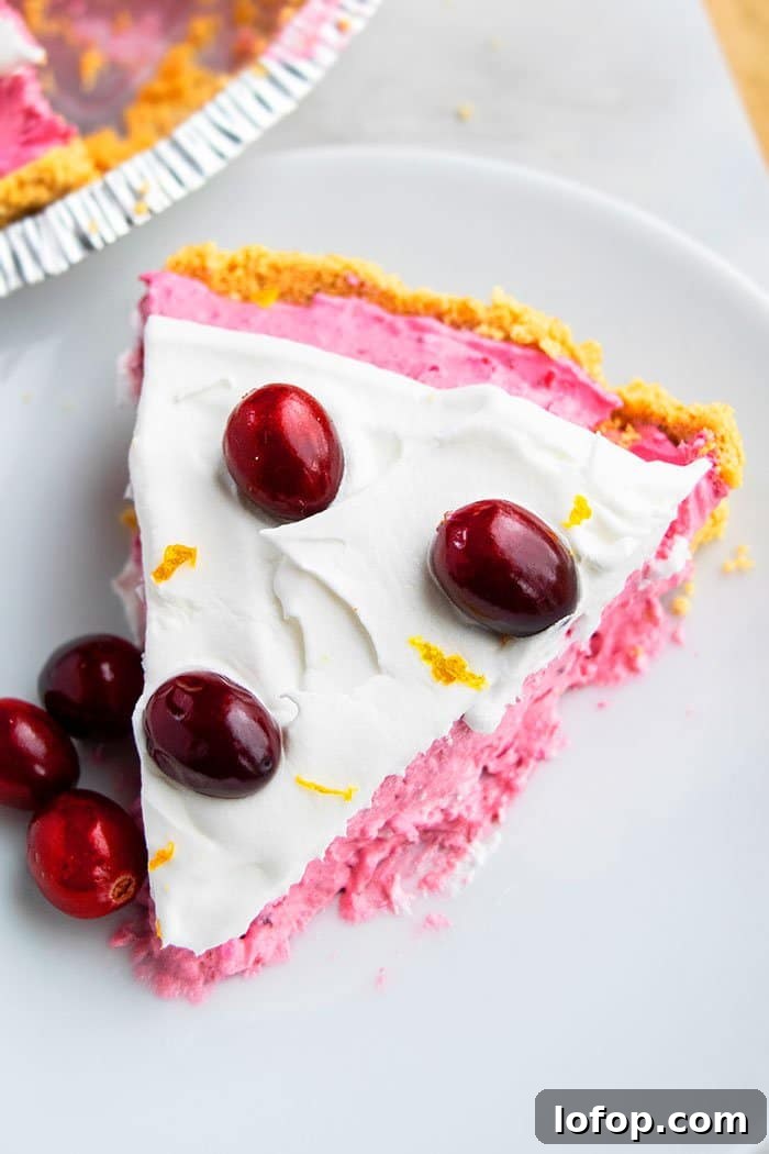 No-Bake Cranberry Pie Recipe — Fresh & Simple Holiday Dessert 3 Slice of Homemade Cranberry Pie in White Plate