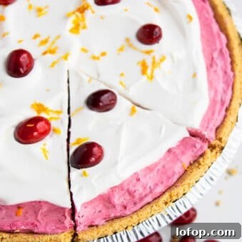 No-Bake Cranberry Pie Recipe — Fresh & Simple Holiday Dessert 5 Easy No Bake Cranberry Pie Recipe on White Background