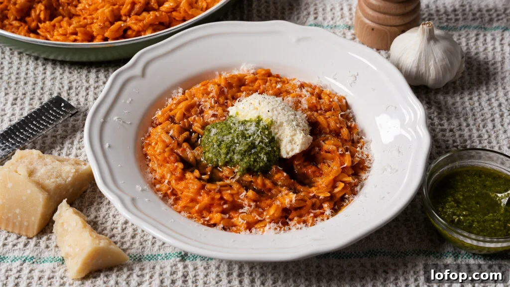 Creamy One-Pot Orzo Pasta Ready in 30 Minutes 2 img 22852 2