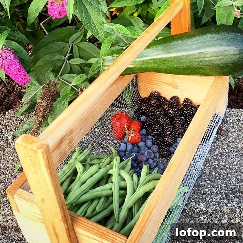 Fresh Homegrown produce from my garden. Green beans, blueberries, blackberries, strawberries and zucchini.