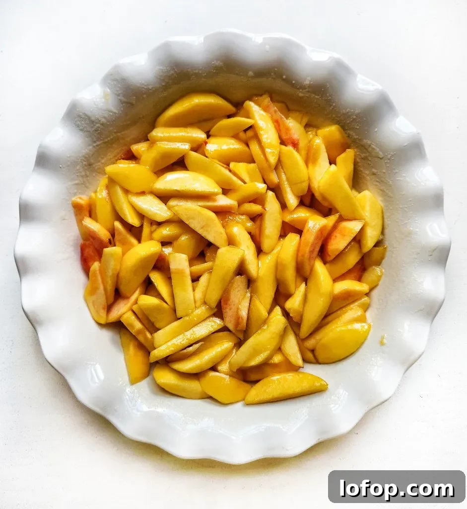 peach base in the dish