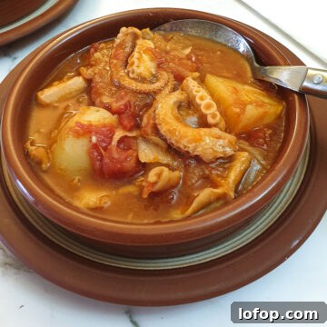 Close up of a dish of octopus stew.
