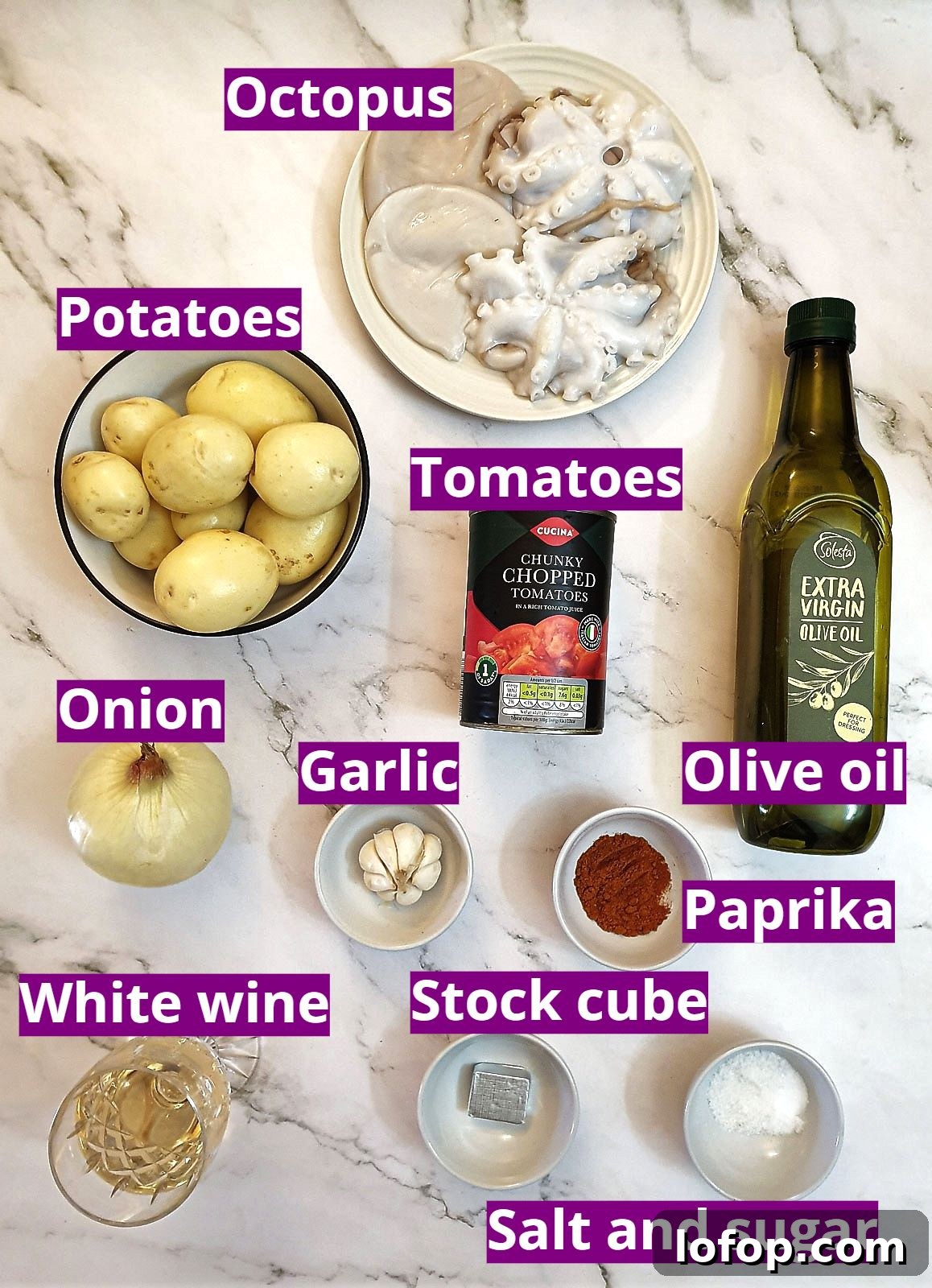 Ingredients for octopus stew - Spanish-style.