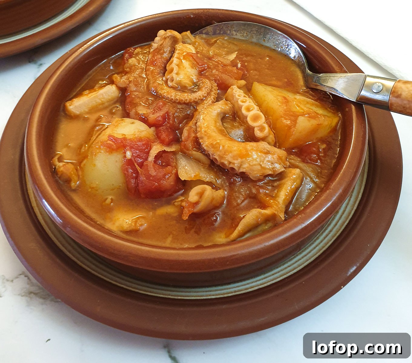 Close up of a dish of octopus stew.