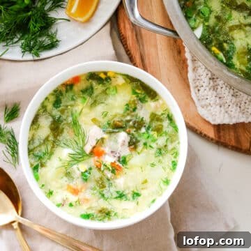 sorrel soup in white bowls with pot in the corner.