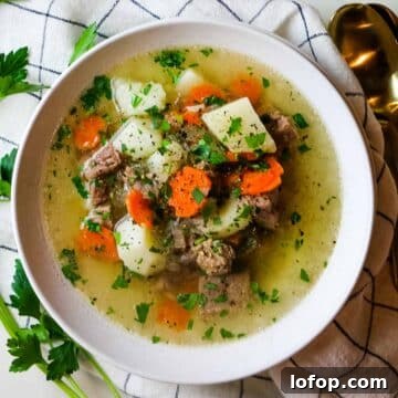 shurpa soup in white bowl with carrots potatos and lamb.