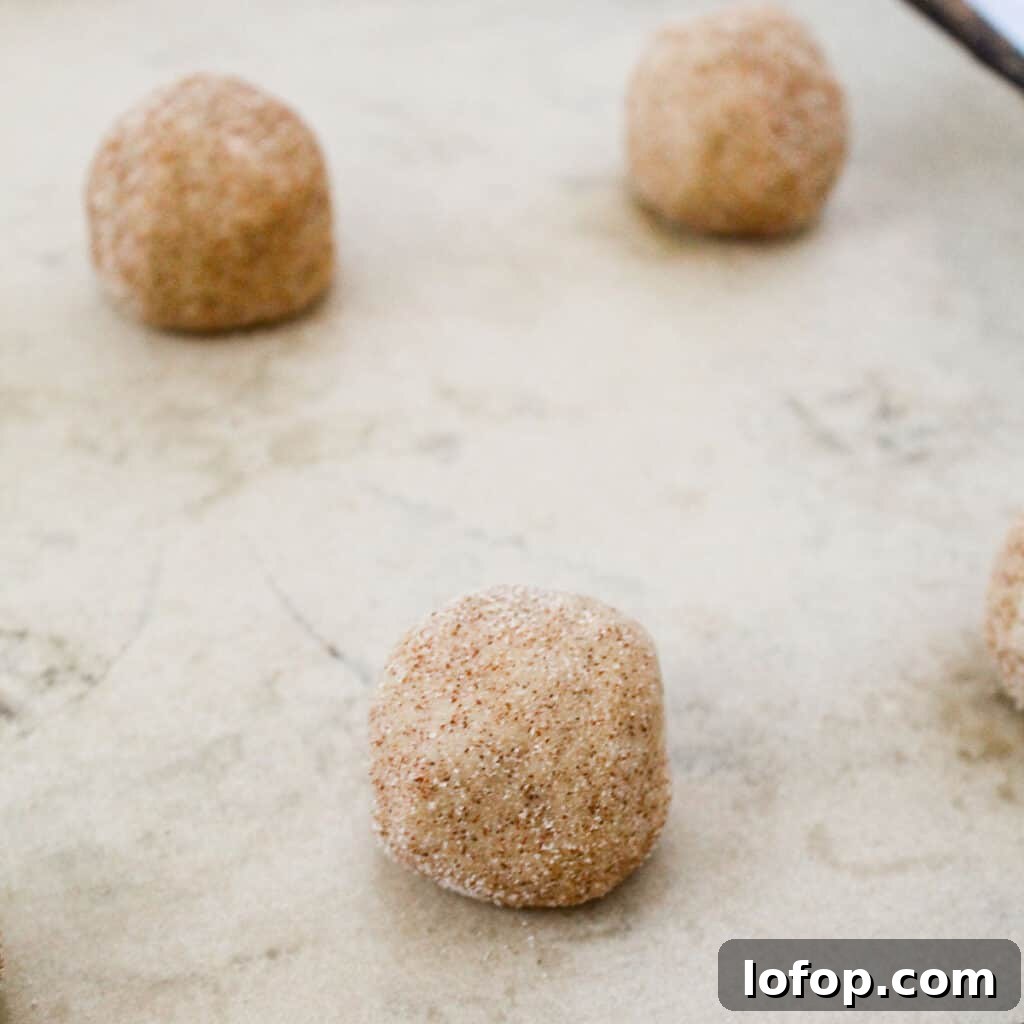 chewy snickerdoodles before baking