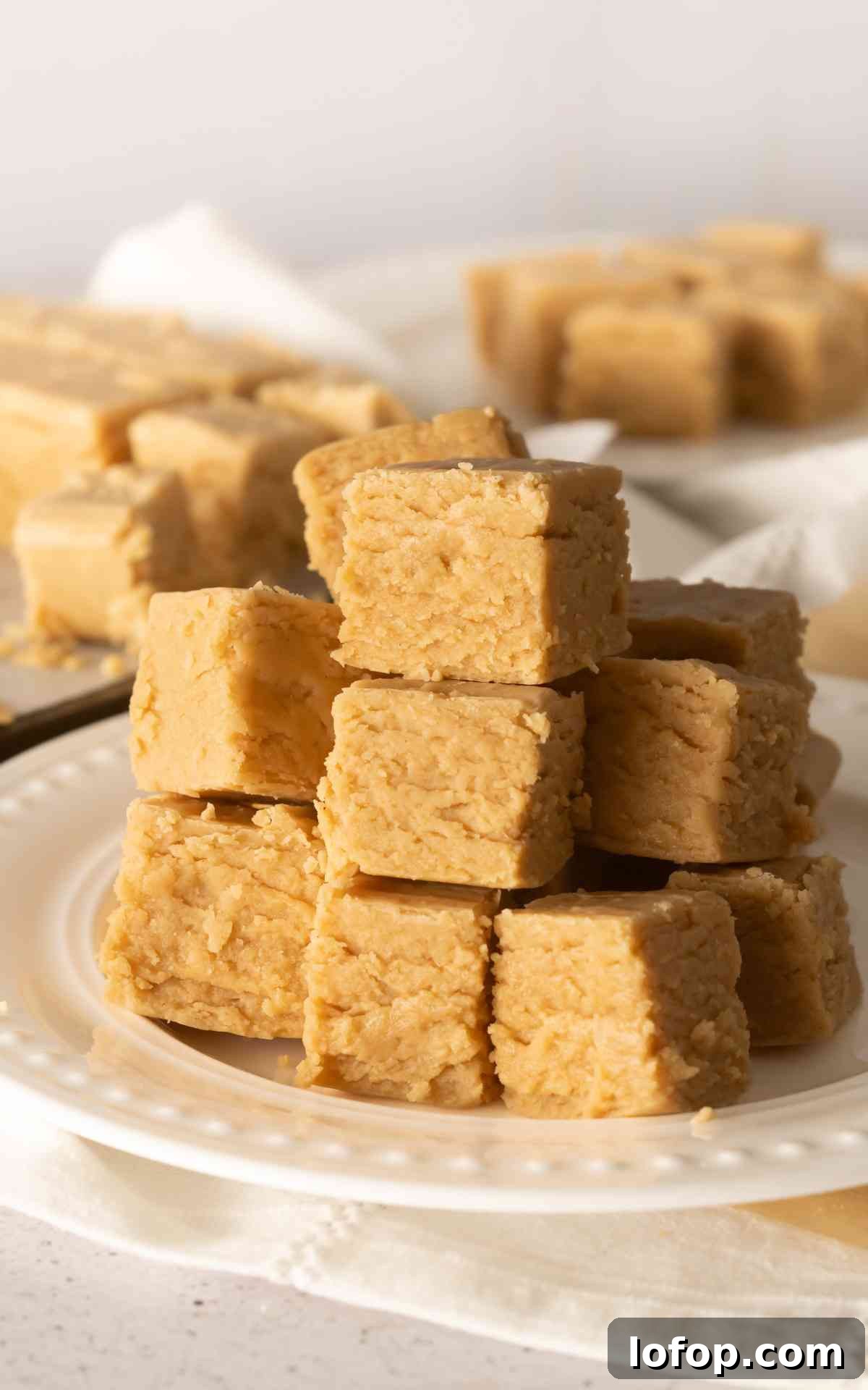 Creamy Peanut Butter Fudge Recipe for Rich Homemade Candy 2 This delicious peanut butter fudge recipe has become a staple in our home for Christmas and the holidays! Its smooth, creamy texture and rich peanut butter flavor make it a must-have treat for the season. It's perfect for gifting or sharing with friends and family.