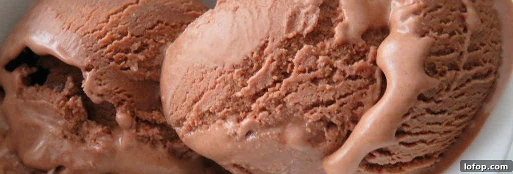 Chocolate Peanut Butter Ice Cream Recipe for Creamy Indulgence 2 Chocolate Peanut Butter Ice Cream