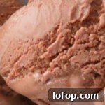 Chocolate Peanut Butter Ice Cream Recipe for Creamy Indulgence 3 Chocolate Peanut Butter Ice Cream