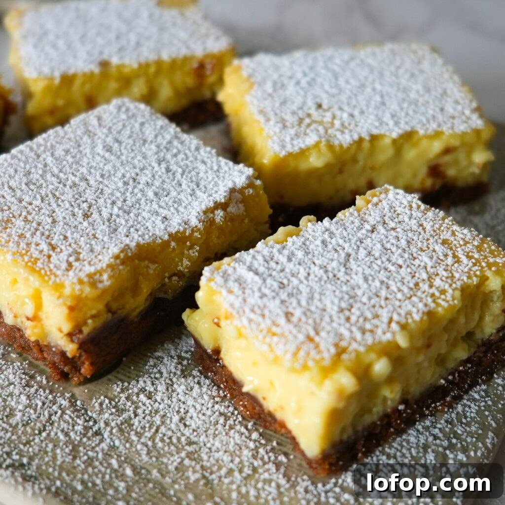 Zesty Key Lime Pie Bars Recipe — Tangy No-Bake Dessert 2 Key lime pie bars with powdered sugar on top.
