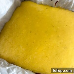 Zesty Key Lime Pie Bars Recipe — Tangy No-Bake Dessert 7 Key lime bar in baking dish with parchment paper.