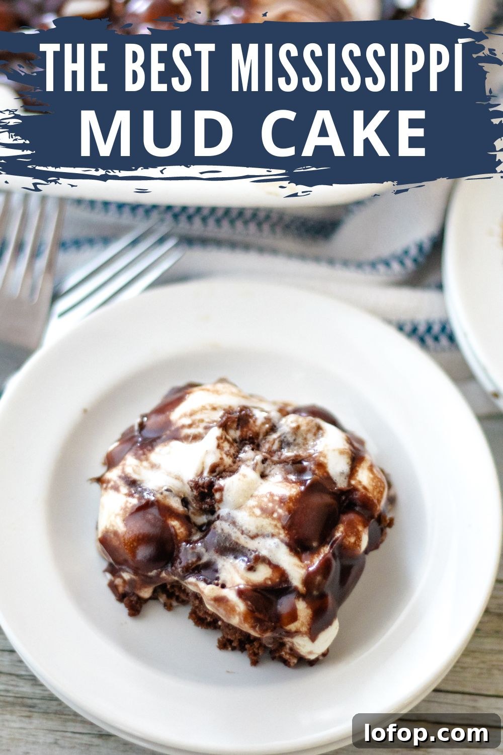 Classic Mississippi Mud Cake Recipe from Grandma's Kitchen 2 chocolate cake with marshmallows and chocolate icing plated