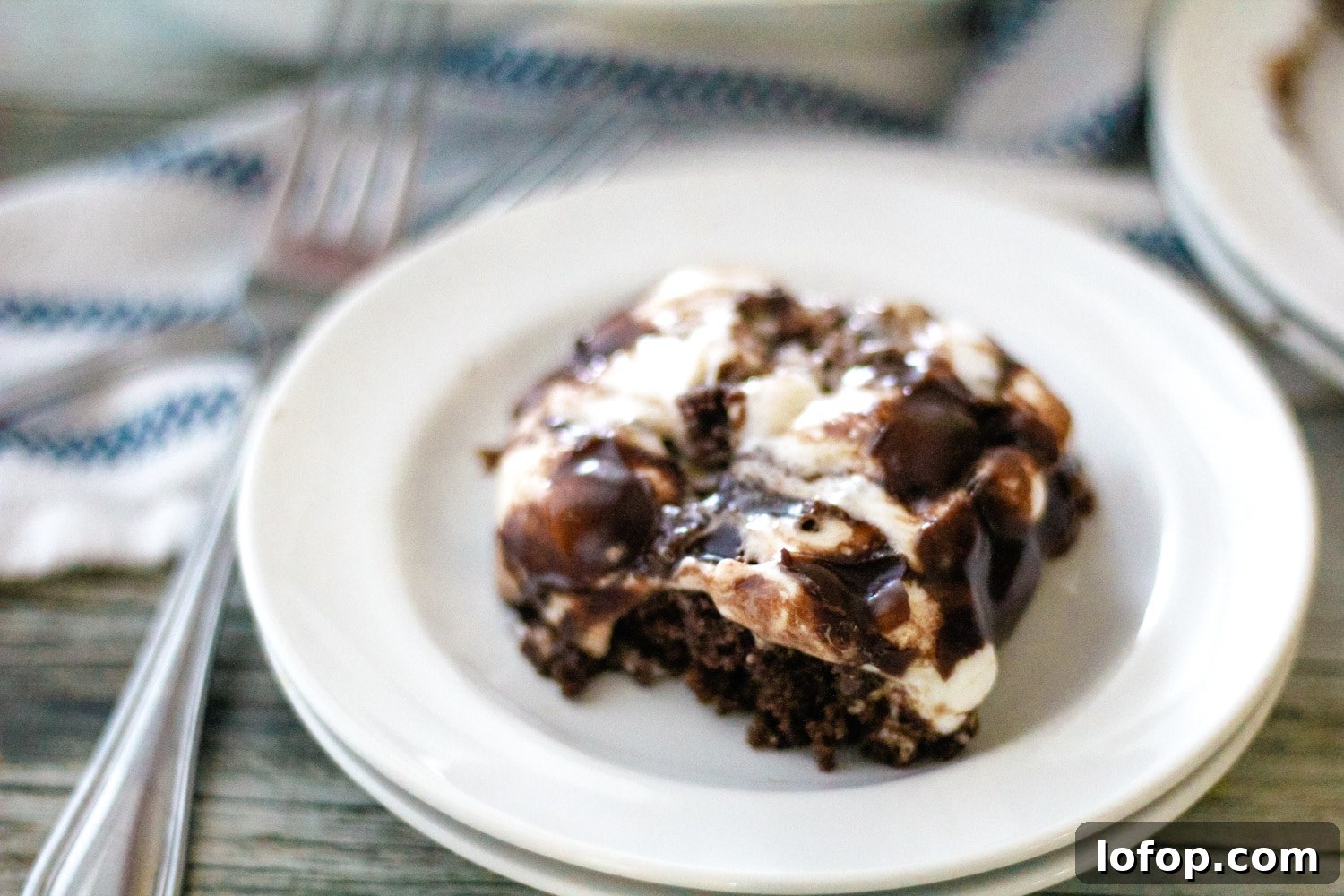 Classic Mississippi Mud Cake Recipe from Grandma's Kitchen 8 grandma's mississippi mud cake plated