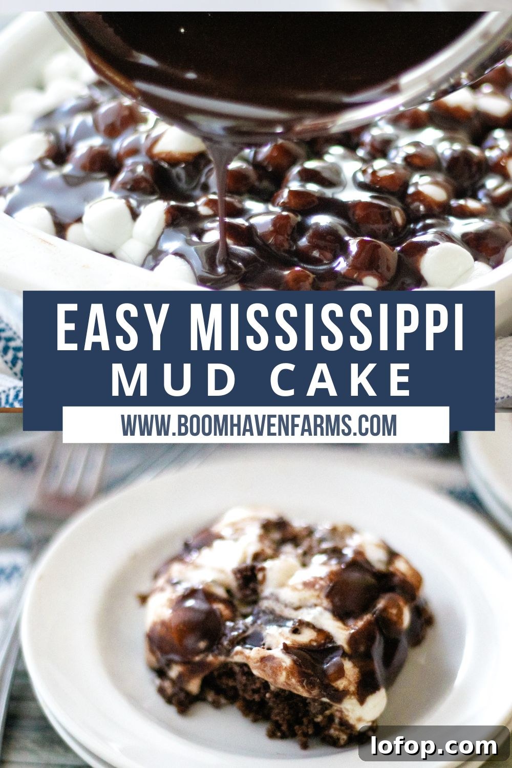 Classic Mississippi Mud Cake Recipe from Grandma's Kitchen 10 collage of mississippi mud cake