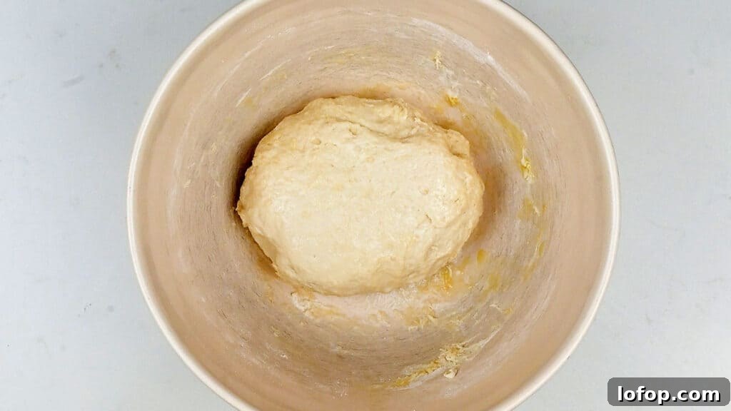Garlic dough ball dough before proofing