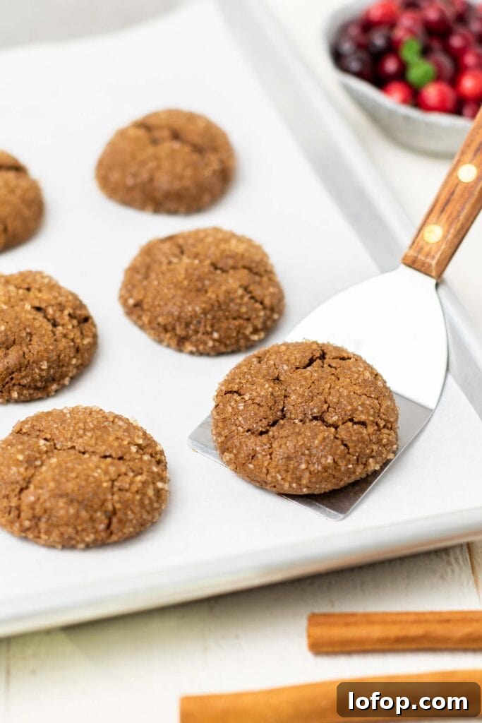 A spatula taking a chewy ginger cookie off of a baking tray.