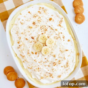 no bake banana pudding with cool whip and nilla wafer cookies and sliced bananas