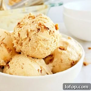 scoops of homemade cookie butter ice cream in bowl.