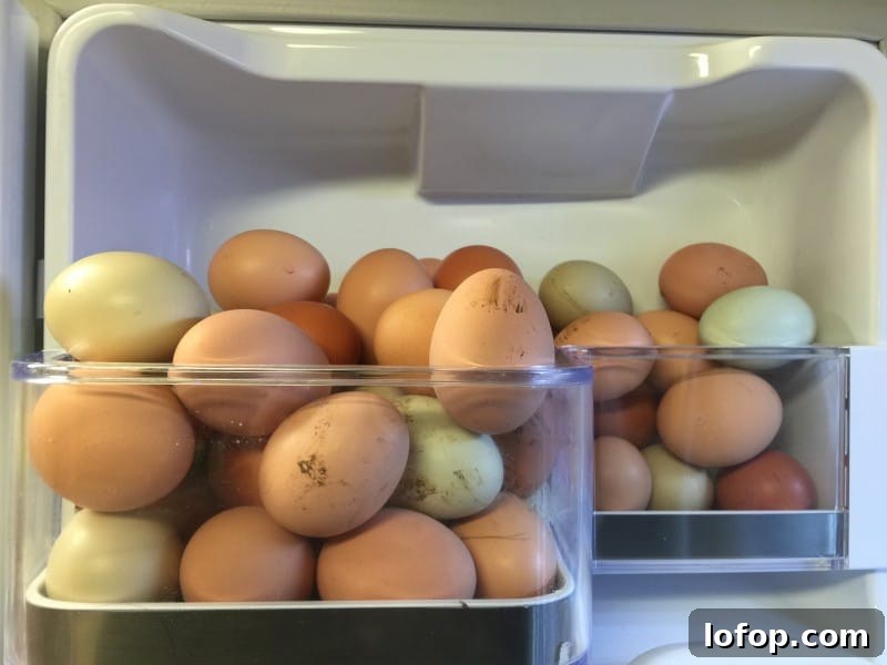 Answers to all of the questions I've been asked about raising chickens.